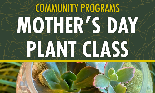 Mother’s Day Plant Class